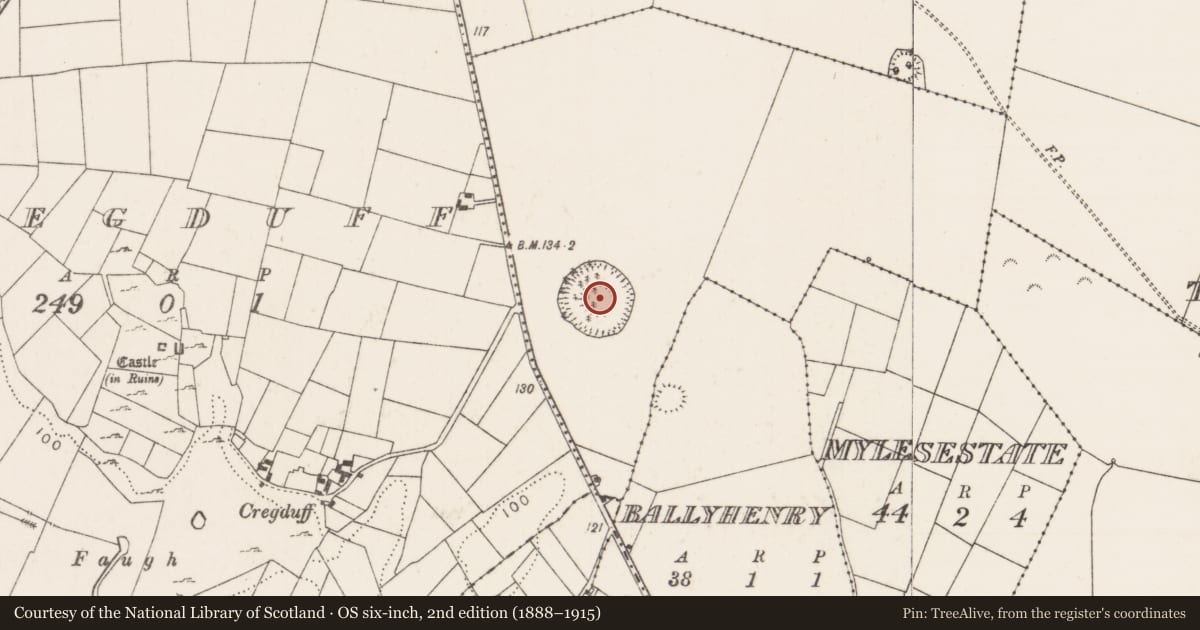 Ordnance Survey six-inch map, 2nd edition (1888–1915) covering the location of Souterrain, Turin, County Mayo, with a pin at the register's coordinates