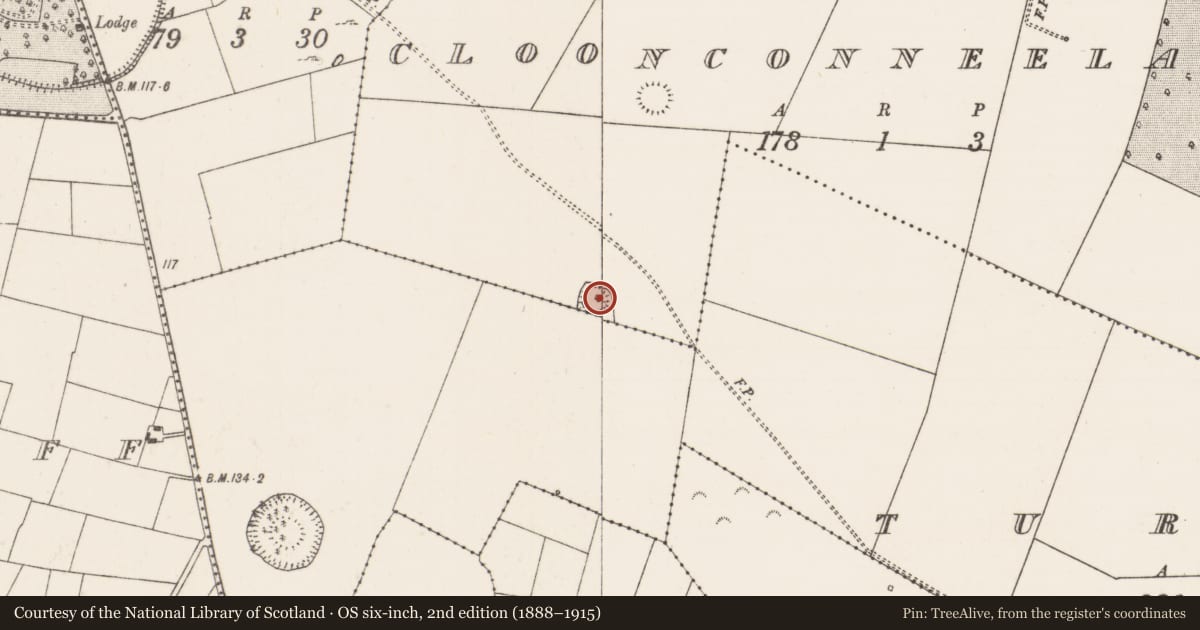 Ordnance Survey six-inch map, 2nd edition (1888–1915) covering the location of Ringfort - rath, Cloonconneelaun, County Mayo, with a pin at the register's coordinates