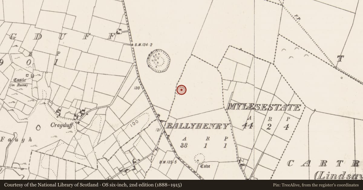 Ordnance Survey six-inch map, 2nd edition (1888–1915) covering the location of Ringfort - rath, Ballyhenry, County Mayo, with a pin at the register's coordinates