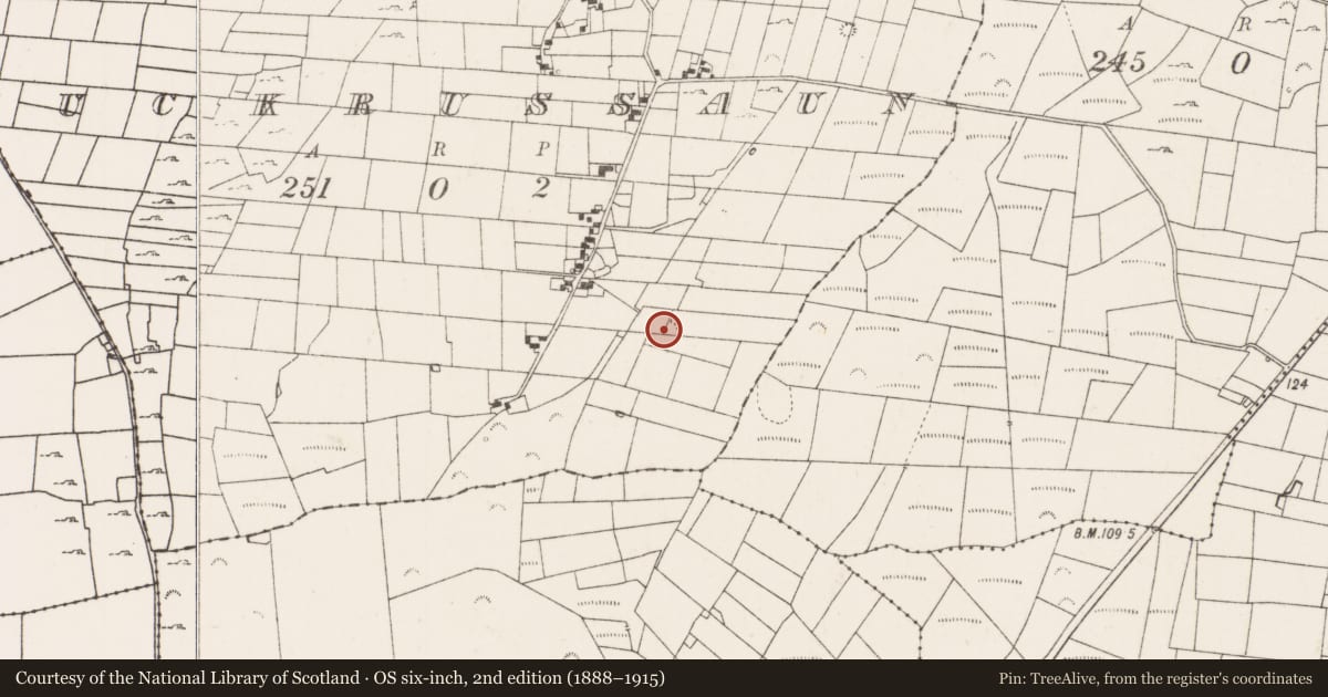 Ordnance Survey six-inch map, 2nd edition (1888–1915) covering the location of Ringfort - rath, Muckrussaun, County Mayo, with a pin at the register's coordinates