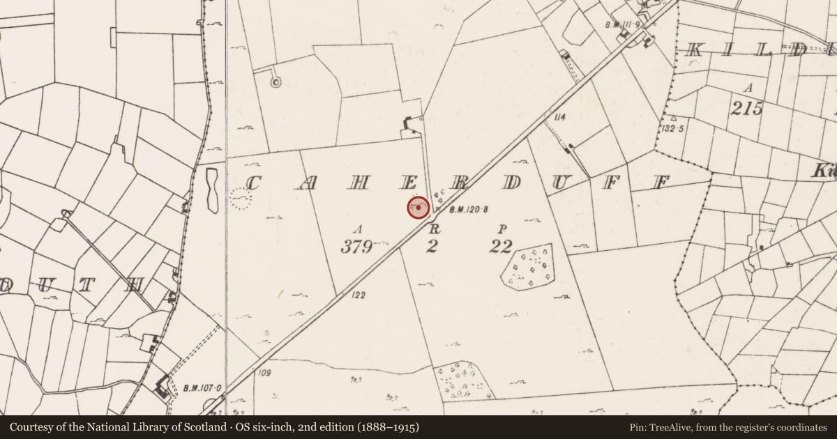 Ordnance Survey six-inch map, 2nd edition (1888–1915) covering the location of Ringfort - cashel, Caherduff, County Mayo, with a pin at the register's coordinates