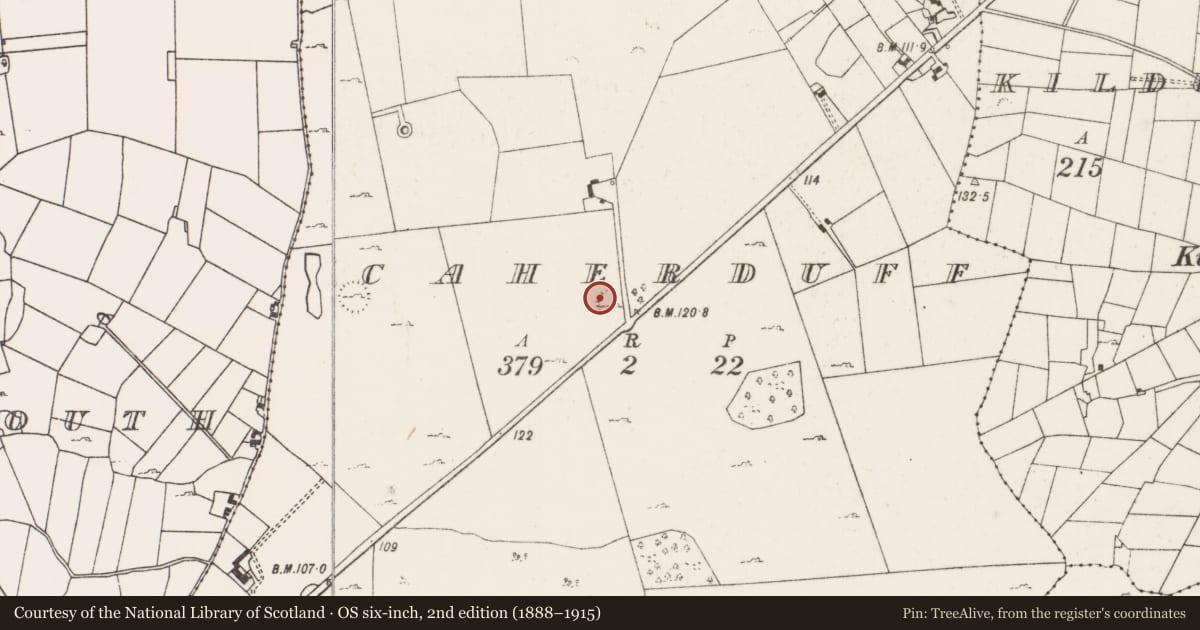 Ordnance Survey six-inch map, 2nd edition (1888–1915) covering the location of Souterrain, Caherduff, County Mayo, with a pin at the register's coordinates