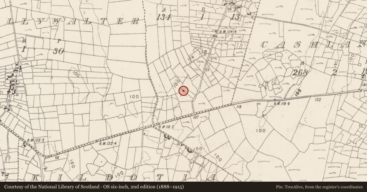 Ordnance Survey six-inch map, 2nd edition (1888–1915) covering the location of Ringfort - cashel, Caherhemush, County Mayo, with a pin at the register's coordinates