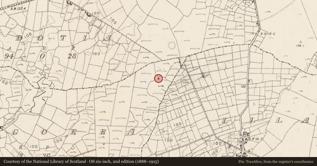 Ordnance Survey six-inch map, 2nd edition (1888–1915) covering the location of Enclosure, Kiltogorra, County Mayo, with a pin at the register's coordinates