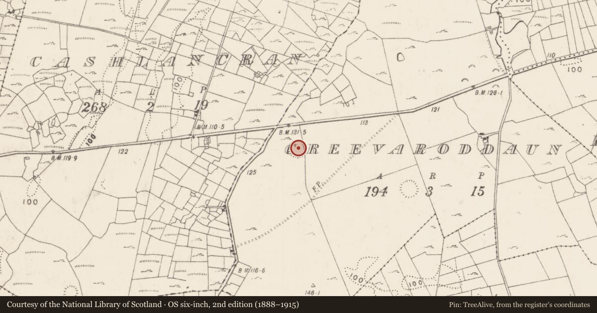 Ordnance Survey six-inch map, 2nd edition (1888–1915) covering the location of Ringfort - cashel, Creevaroddaun, County Mayo, with a pin at the register's coordinates
