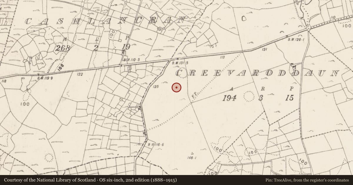 Ordnance Survey six-inch map, 2nd edition (1888–1915) covering the location of Enclosure, Creevaroddaun, County Mayo, with a pin at the register's coordinates