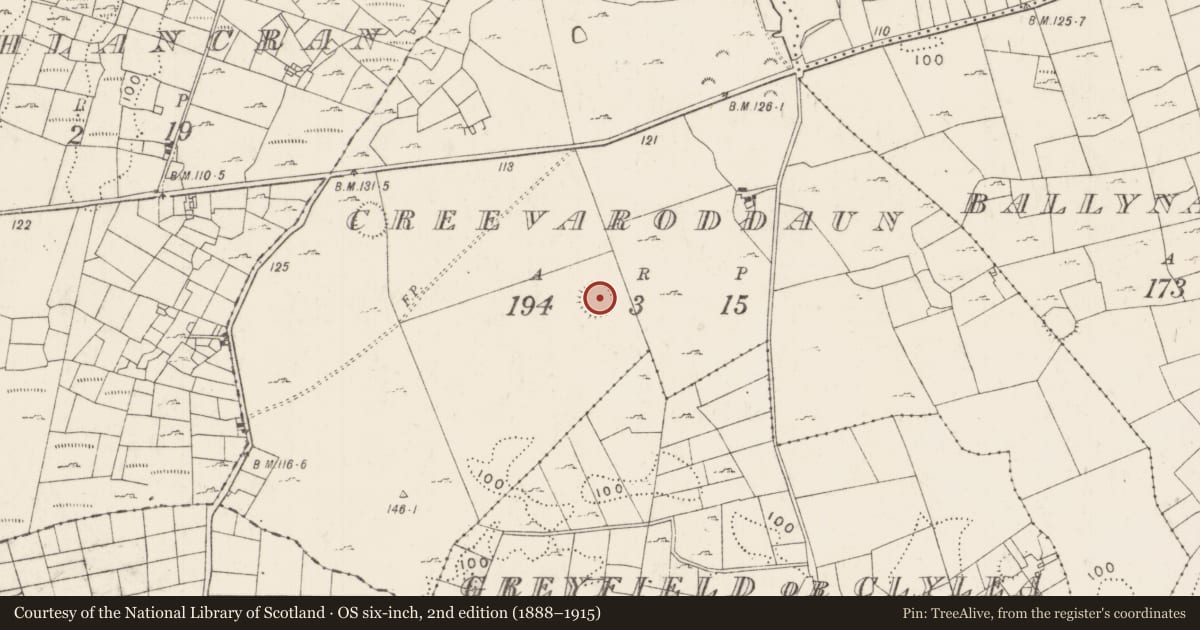 Ordnance Survey six-inch map, 2nd edition (1888–1915) covering the location of Ringfort - rath, Creevaroddaun, County Mayo, with a pin at the register's coordinates