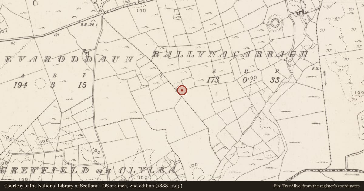 Ordnance Survey six-inch map, 2nd edition (1888–1915) covering the location of Enclosure, Creevaroddaun, Ballynacarragh, County Mayo, with a pin at the register's coordinates