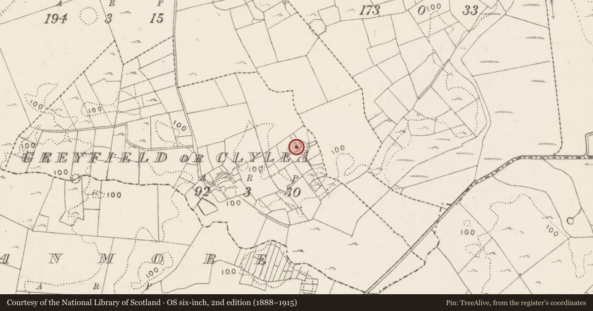 Ordnance Survey six-inch map, 2nd edition (1888–1915) covering the location of Ringfort - cashel, Greyfield Or Clylea, County Mayo, with a pin at the register's coordinates