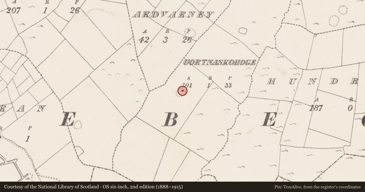 Ordnance Survey six-inch map, 2nd edition (1888–1915) covering the location of Enclosure, Gortnaskohoge, County Mayo, with a pin at the register's coordinates