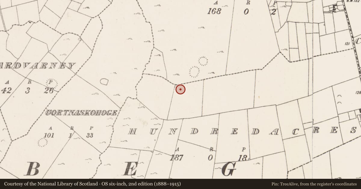 Ordnance Survey six-inch map, 2nd edition (1888–1915) covering the location of Ringfort - unclassified, Hundred Acres, County Mayo, with a pin at the register's coordinates