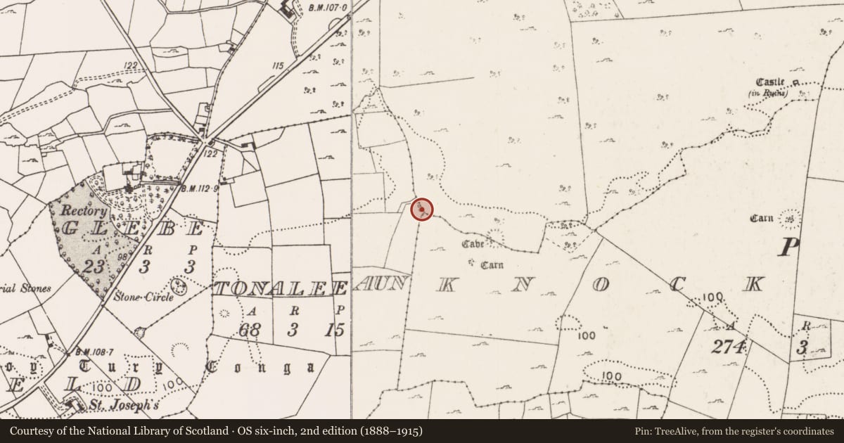 Ordnance Survey six-inch map, 2nd edition (1888–1915) covering the location of Well, Tonaleeaun, County Mayo, with a pin at the register's coordinates