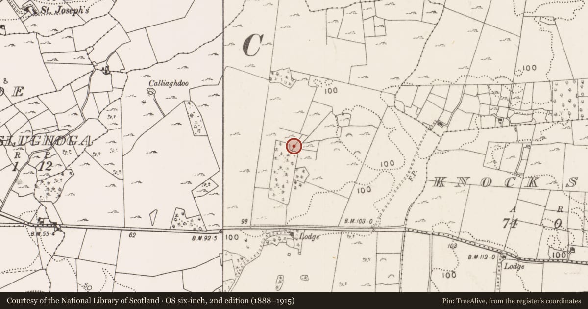 Ordnance Survey six-inch map, 2nd edition (1888–1915) covering the location of Enclosure, Lackafinna, County Mayo, with a pin at the register's coordinates