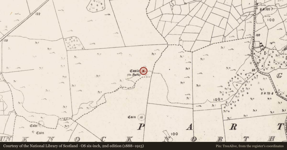 Ordnance Survey six-inch map, 2nd edition (1888–1915) covering the location of Castle - tower house, Caherduff, County Mayo, with a pin at the register's coordinates