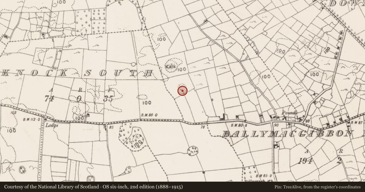 Ordnance Survey six-inch map, 2nd edition (1888–1915) covering the location of Structure, Ballymacgibbon North, County Mayo, with a pin at the register's coordinates