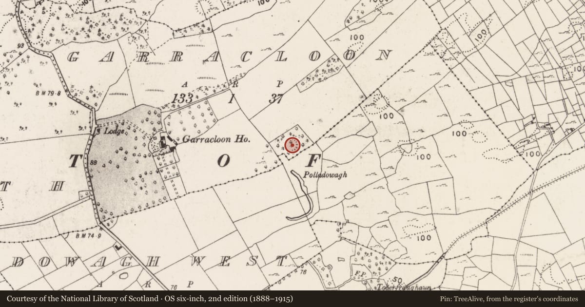 Ordnance Survey six-inch map, 2nd edition (1888–1915) covering the location of Ringfort - rath, Garracloon, County Mayo, with a pin at the register's coordinates