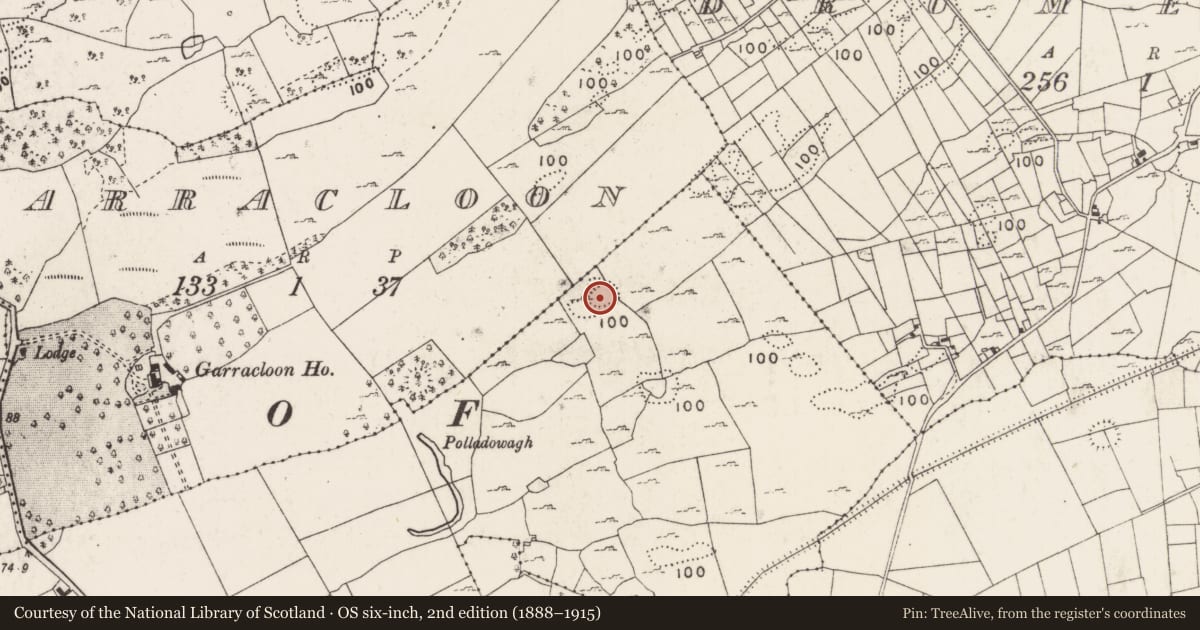 Ordnance Survey six-inch map, 2nd edition (1888–1915) covering the location of Enclosure, Dowagh West, County Mayo, with a pin at the register's coordinates