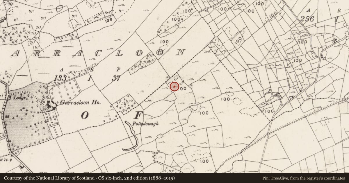 Ordnance Survey six-inch map, 2nd edition (1888–1915) covering the location of Field system, Dowagh West, County Mayo, with a pin at the register's coordinates