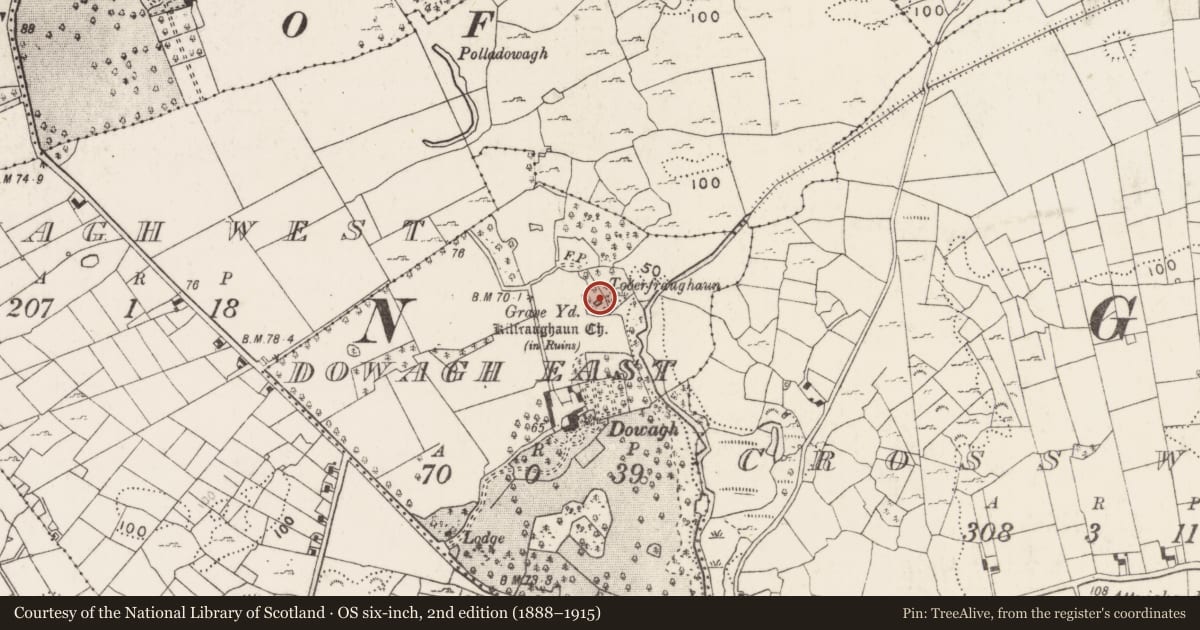Ordnance Survey six-inch map, 2nd edition (1888–1915) covering the location of Graveyard, Dowagh East, County Mayo, with a pin at the register's coordinates