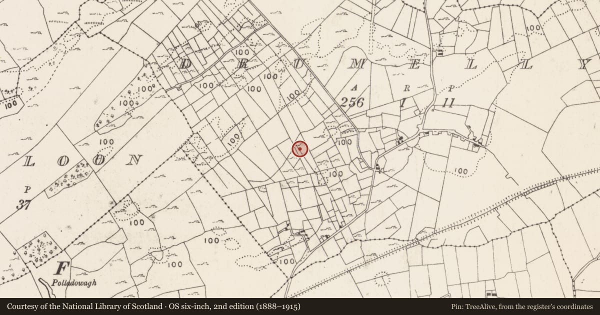 Ordnance Survey six-inch map, 2nd edition (1888–1915) covering the location of Enclosure, Drumelly, County Mayo, with a pin at the register's coordinates