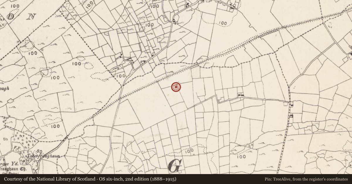 Ordnance Survey six-inch map, 2nd edition (1888–1915) covering the location of Enclosure, Cross West, County Mayo, with a pin at the register's coordinates