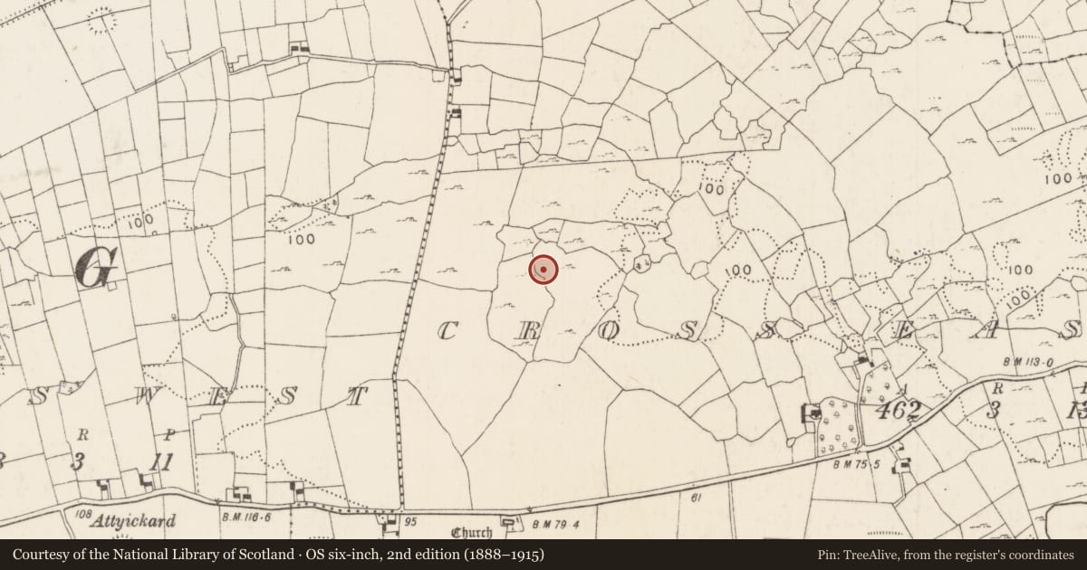 Ordnance Survey six-inch map, 2nd edition (1888–1915) covering the location of Ringfort - cashel, Cross East, County Mayo, with a pin at the register's coordinates