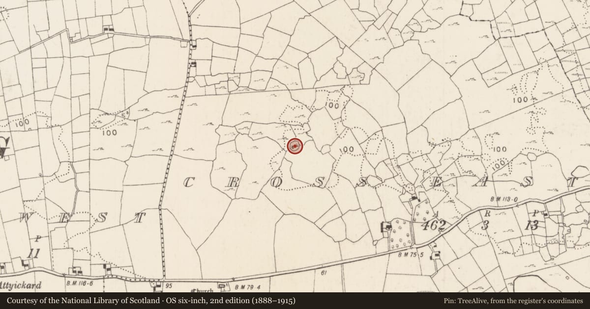 Ordnance Survey six-inch map, 2nd edition (1888–1915) covering the location of Enclosure, Cross East, County Mayo, with a pin at the register's coordinates