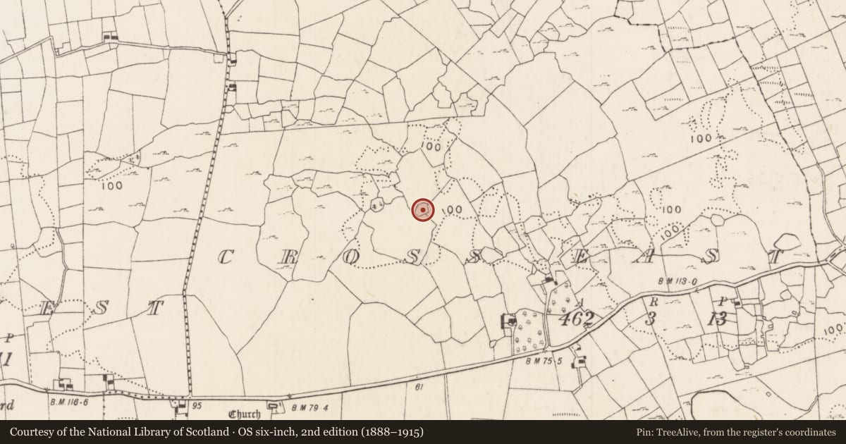 Ordnance Survey six-inch map, 2nd edition (1888–1915) covering the location of Enclosure, Cross East, County Mayo, with a pin at the register's coordinates
