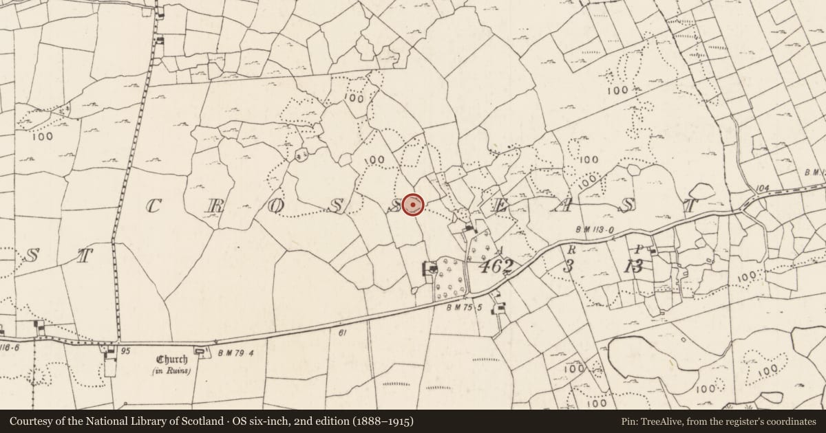 Ordnance Survey six-inch map, 2nd edition (1888–1915) covering the location of Enclosure, Cross East, County Mayo, with a pin at the register's coordinates