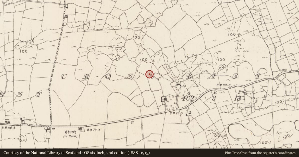Ordnance Survey six-inch map, 2nd edition (1888–1915) covering the location of Enclosure, Cross East, County Mayo, with a pin at the register's coordinates