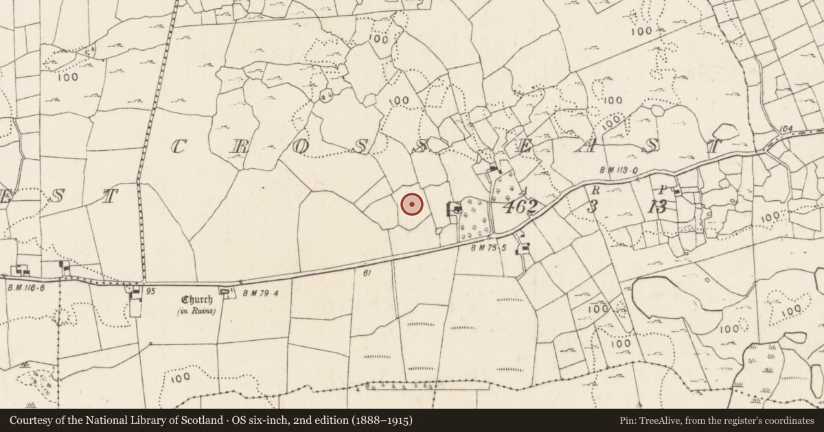 Ordnance Survey six-inch map, 2nd edition (1888–1915) covering the location of Enclosure, Cross East, County Mayo, with a pin at the register's coordinates