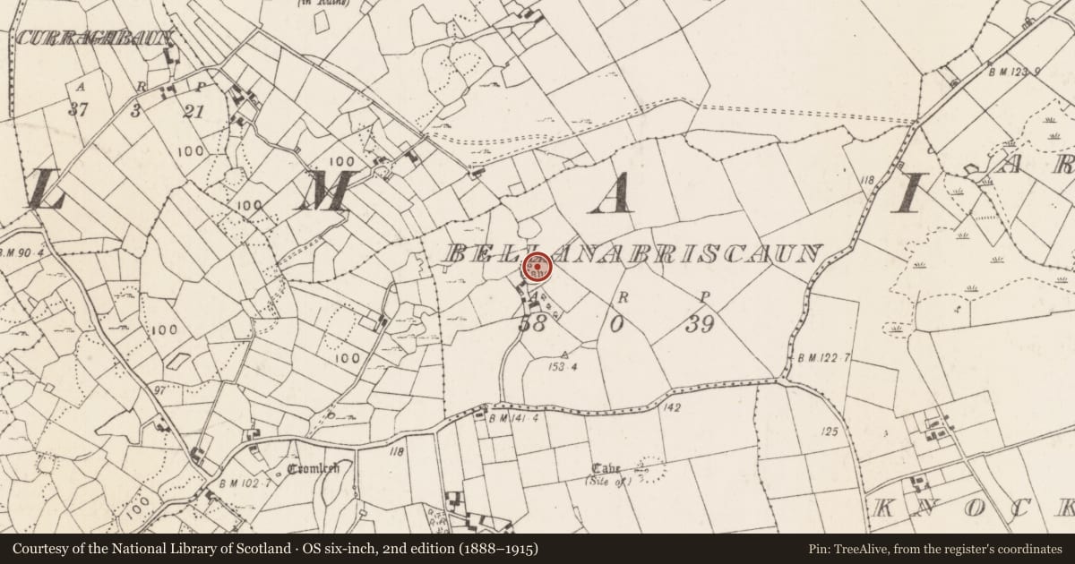Ordnance Survey six-inch map, 2nd edition (1888–1915) covering the location of Ringfort - cashel, Bellanabriscaun, County Mayo, with a pin at the register's coordinates
