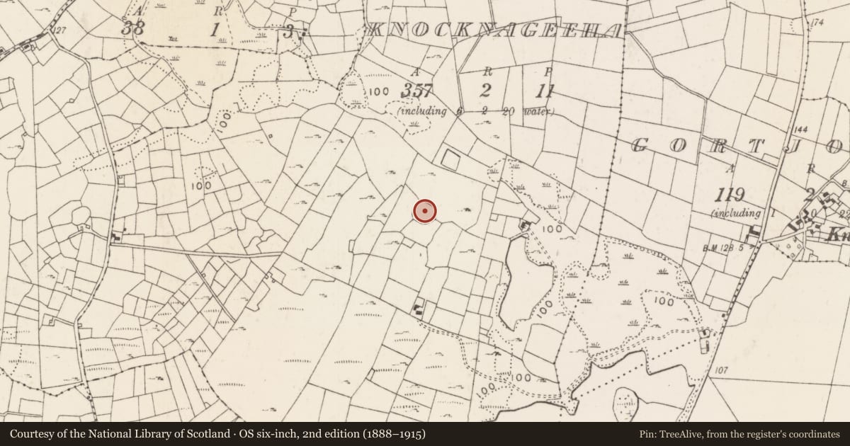 Ordnance Survey six-inch map, 2nd edition (1888–1915) covering the location of Enclosure, Knocknageeha, County Mayo, with a pin at the register's coordinates