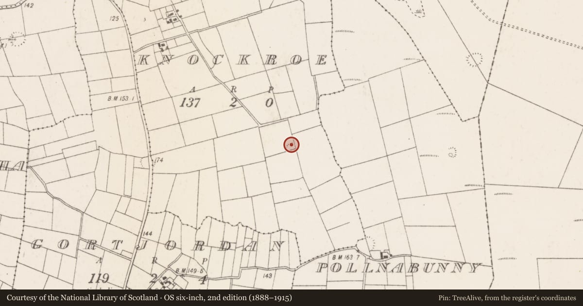 Ordnance Survey six-inch map, 2nd edition (1888–1915) covering the location of Ringfort - rath, Knockroe (Kilmaine By., Kilmainebeg Par.), County Mayo, with a pin at the register's coordinates