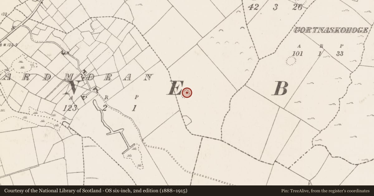 Ordnance Survey six-inch map, 2nd edition (1888–1915) covering the location of Ringfort - rath, Fountainhill, County Mayo, with a pin at the register's coordinates