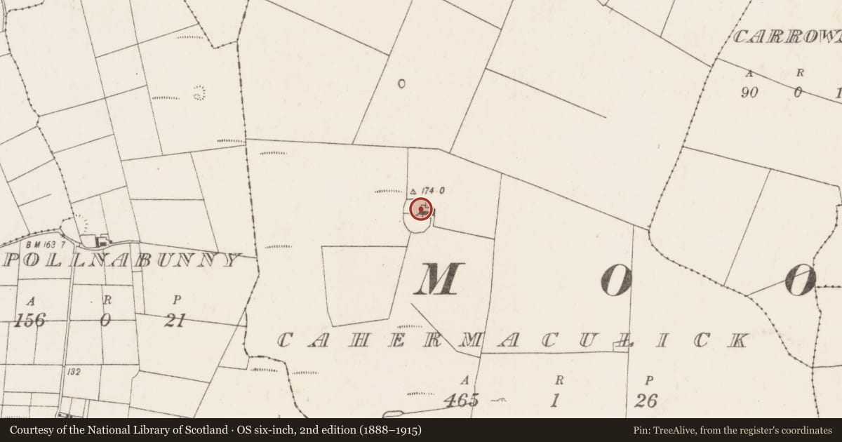 Ordnance Survey six-inch map, 2nd edition (1888–1915) covering the location of Enclosure, Cahermaculick, County Mayo, with a pin at the register's coordinates