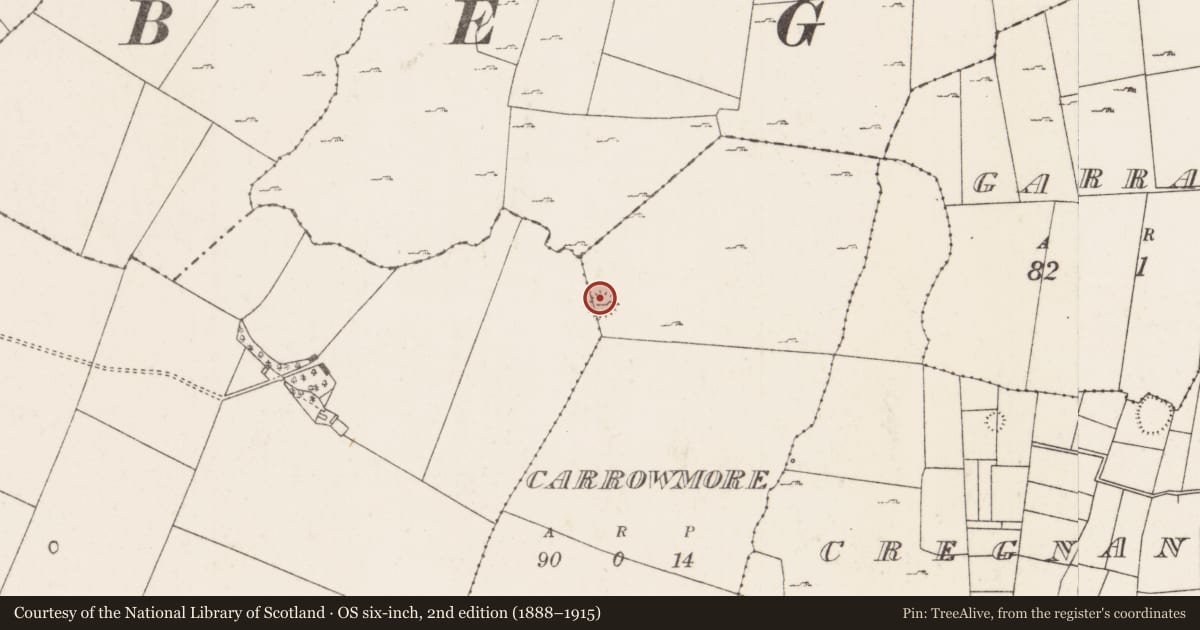 Ordnance Survey six-inch map, 2nd edition (1888–1915) covering the location of Souterrain, Carrowmore (Kilmaine By., Moorgagagh Par.), County Mayo, with a pin at the register's coordinates