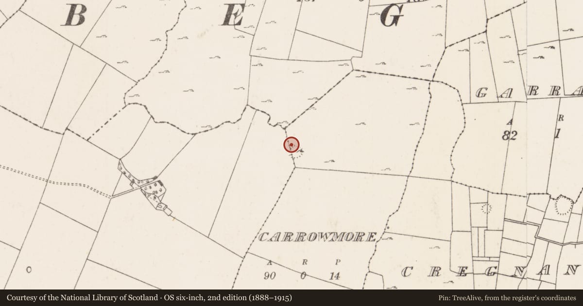 Ordnance Survey six-inch map, 2nd edition (1888–1915) covering the location of Hut site, Carrowmore (Kilmaine By., Moorgagagh Par.), County Mayo, with a pin at the register's coordinates
