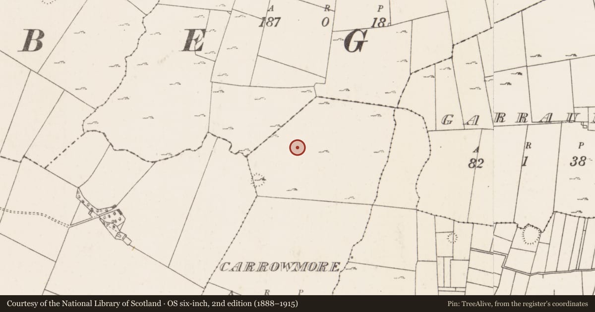 Ordnance Survey six-inch map, 2nd edition (1888–1915) covering the location of Field system, Carrowmore (Kilmaine By., Moorgagagh Par.), County Mayo, with a pin at the register's coordinates