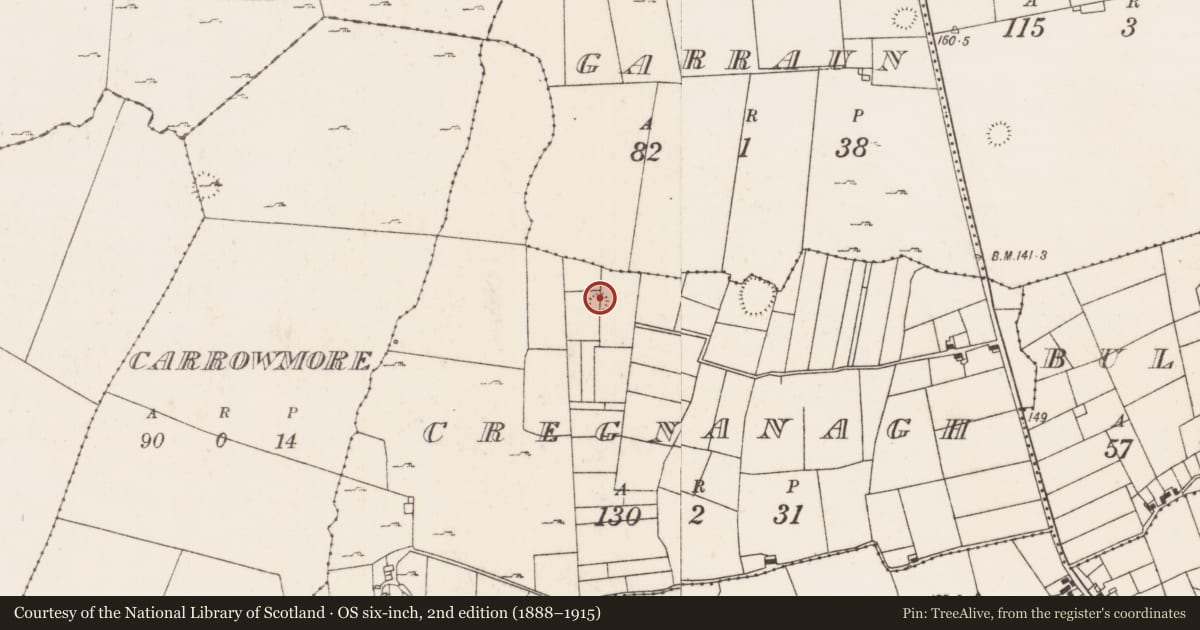 Ordnance Survey six-inch map, 2nd edition (1888–1915) covering the location of Enclosure, Cregnanagh (Kilmaine By., Moorgagagh Par.), County Mayo, with a pin at the register's coordinates