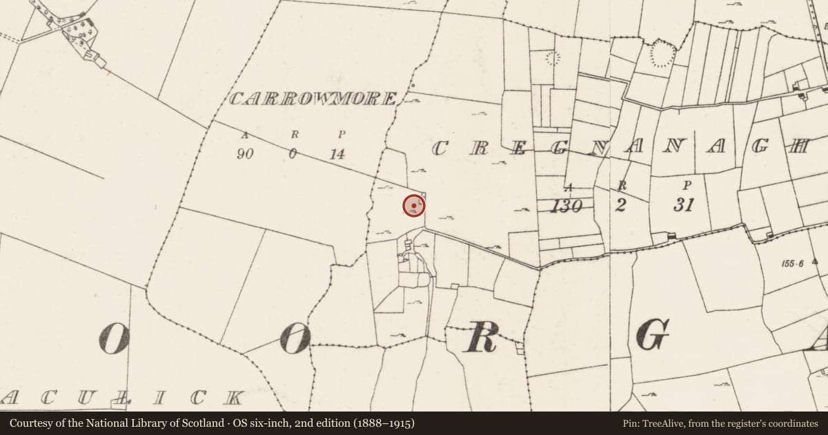 Ordnance Survey six-inch map, 2nd edition (1888–1915) covering the location of Enclosure, Cregnanagh (Kilmaine By., Moorgagagh Par.), County Mayo, with a pin at the register's coordinates