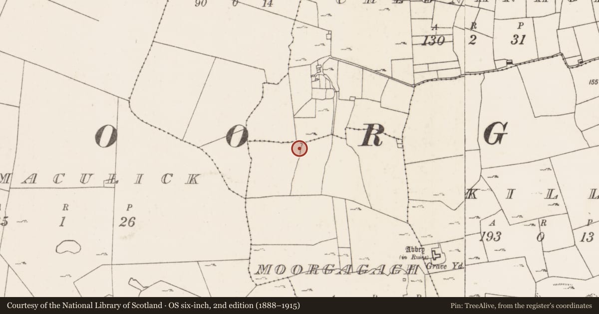 Ordnance Survey six-inch map, 2nd edition (1888–1915) covering the location of Mound, Moorgagagh, County Mayo, with a pin at the register's coordinates