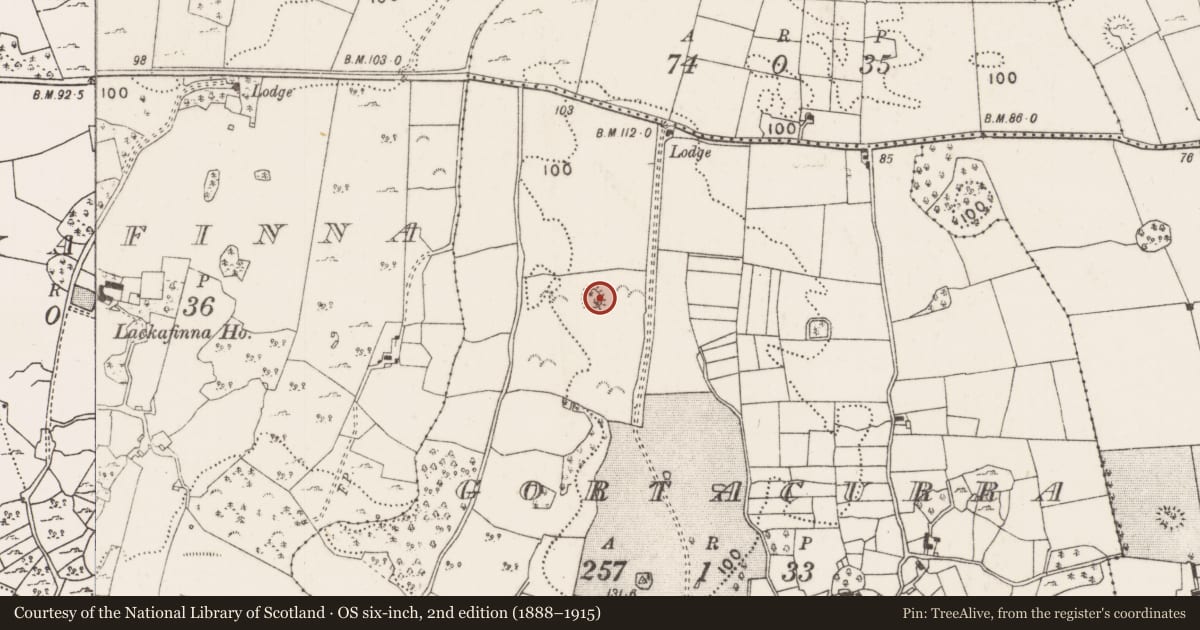 Ordnance Survey six-inch map, 2nd edition (1888–1915) covering the location of Ringfort - rath, Gortacurra, County Mayo, with a pin at the register's coordinates
