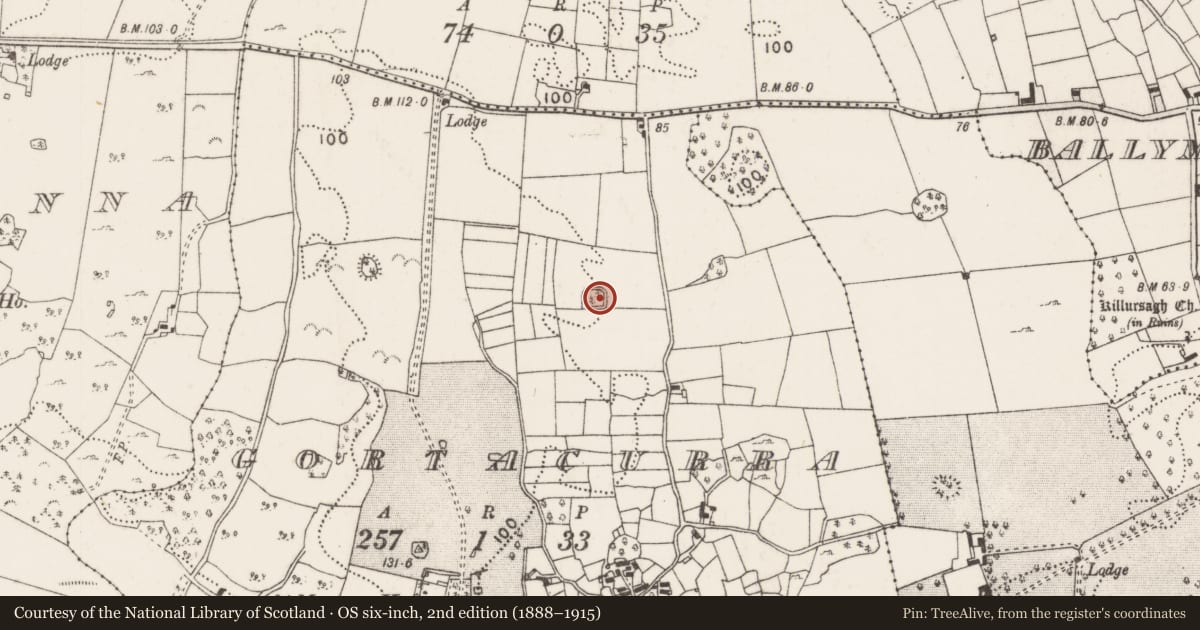 Ordnance Survey six-inch map, 2nd edition (1888–1915) covering the location of Ringfort - cashel, Gortacurra, County Mayo, with a pin at the register's coordinates