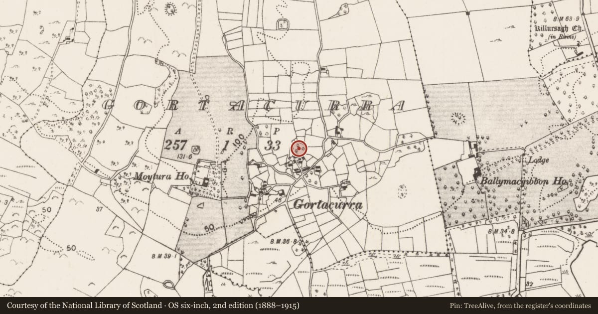 Ordnance Survey six-inch map, 2nd edition (1888–1915) covering the location of Ringfort - cashel, Gortacurra, County Mayo, with a pin at the register's coordinates