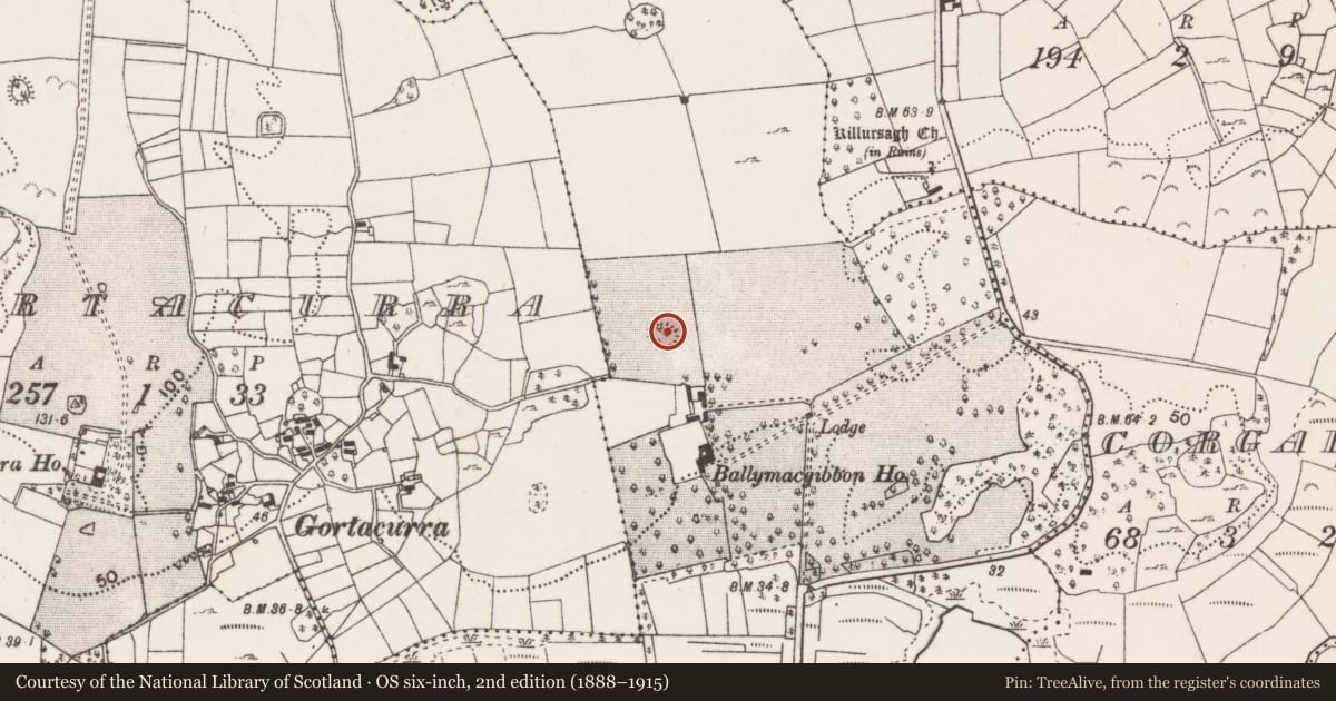 Ordnance Survey six-inch map, 2nd edition (1888–1915) covering the location of Enclosure, Ballymacgibbon South, County Mayo, with a pin at the register's coordinates