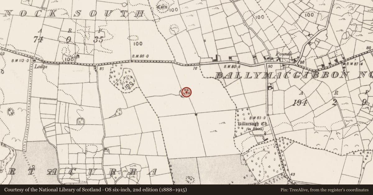 Ordnance Survey six-inch map, 2nd edition (1888–1915) covering the location of Souterrain, Ballymacgibbon South, County Mayo, with a pin at the register's coordinates