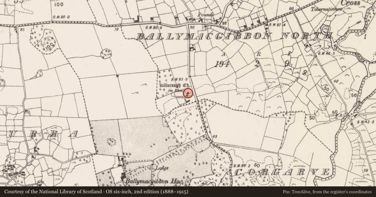 Ordnance Survey six-inch map, 2nd edition (1888–1915) covering the location of Sheela-na-gig, Ballymacgibbon North, County Mayo, with a pin at the register's coordinates