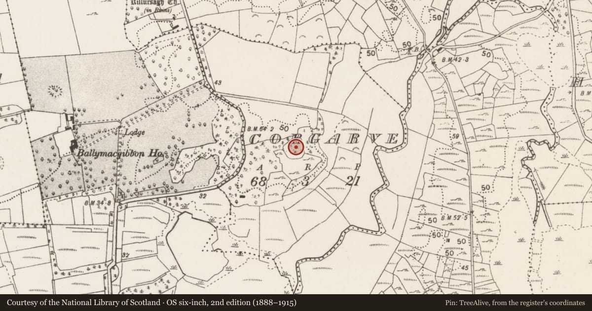Ordnance Survey six-inch map, 2nd edition (1888–1915) covering the location of Ringfort - cashel, Corgarve, County Mayo, with a pin at the register's coordinates