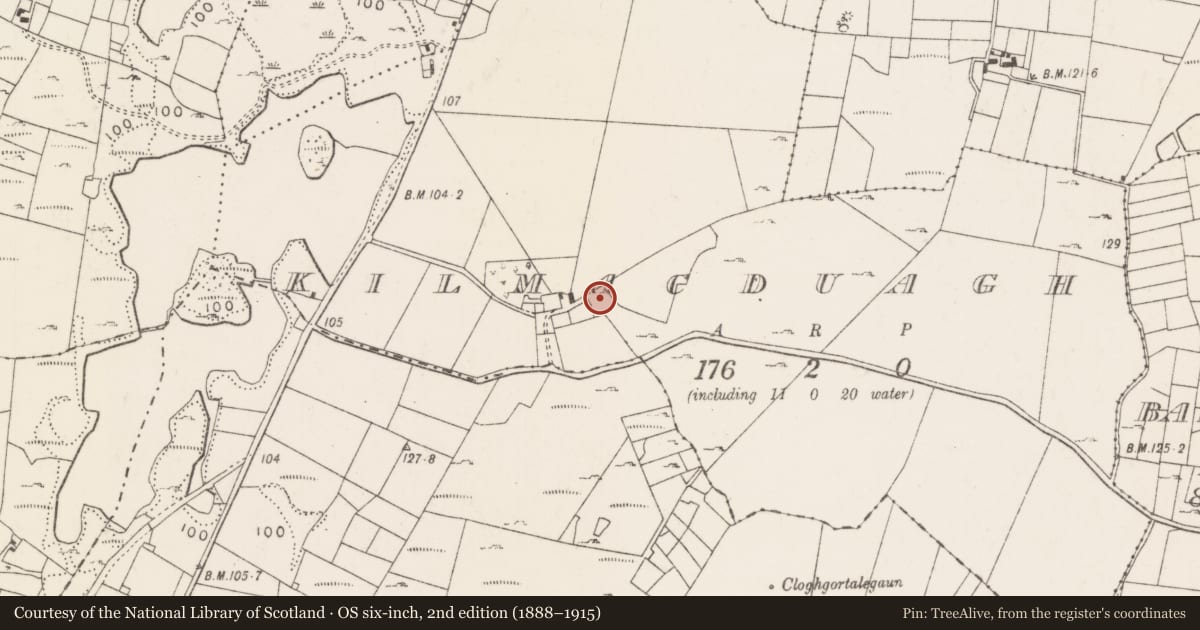 Ordnance Survey six-inch map, 2nd edition (1888–1915) covering the location of Church, Kilmacduagh, County Mayo, with a pin at the register's coordinates